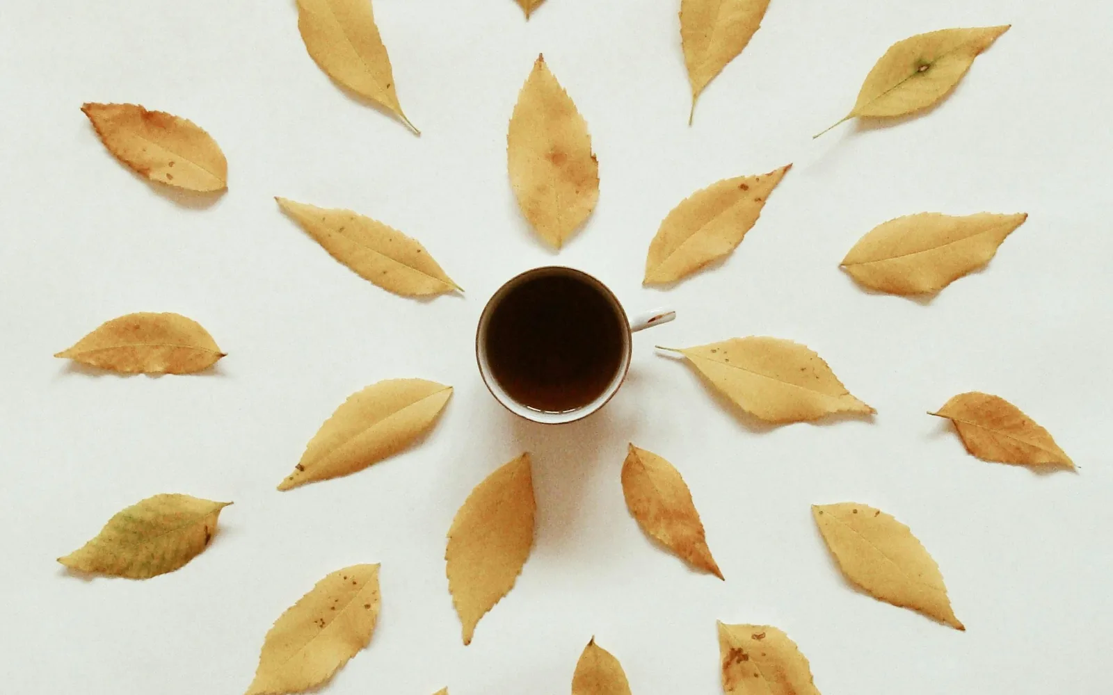 Dampfende Tasse Kaffee, umgeben von herbstlichem Laub