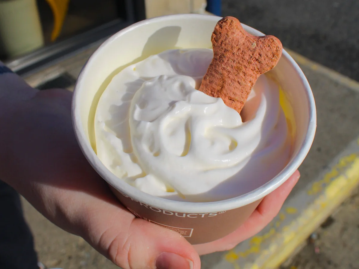 Hand hält einen Pappbecher mit Schlagsahne und einem Hundekeks, einen sogenannten Pup Cup
