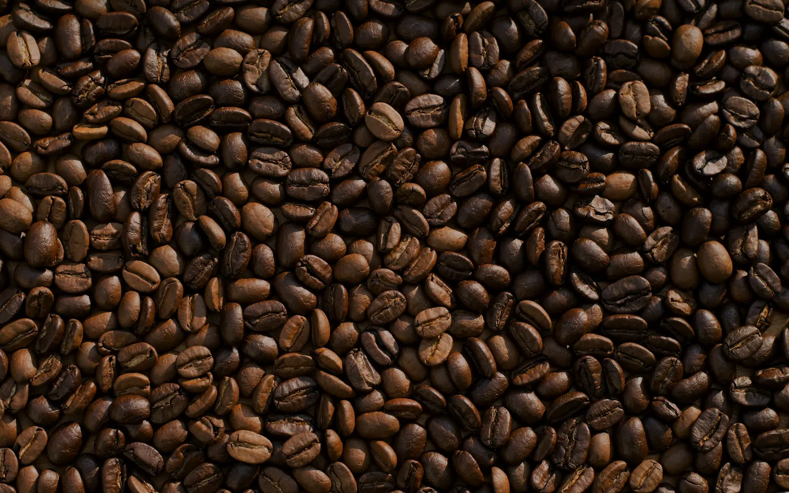 Geröstete Kaffeebohnen in Nahaufnahme, Draufsicht